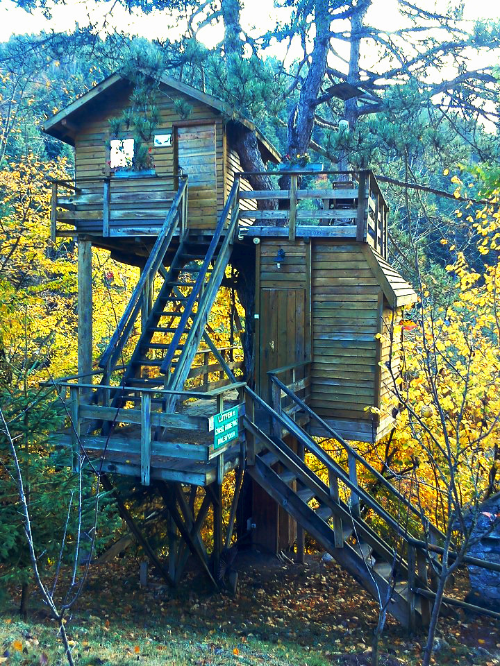 !..BIRDYSEVDA..! Yeşil Ev Abant