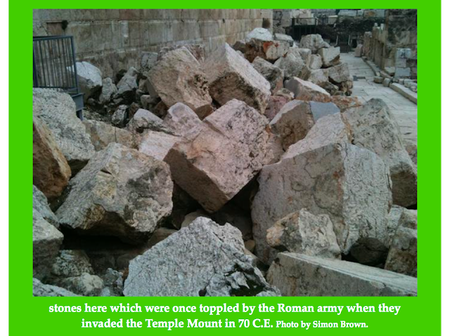  Stones here which were once toppled by the Roman army when they invaded the Temple Mount in 70 C.E. Photo by Simon Brown.