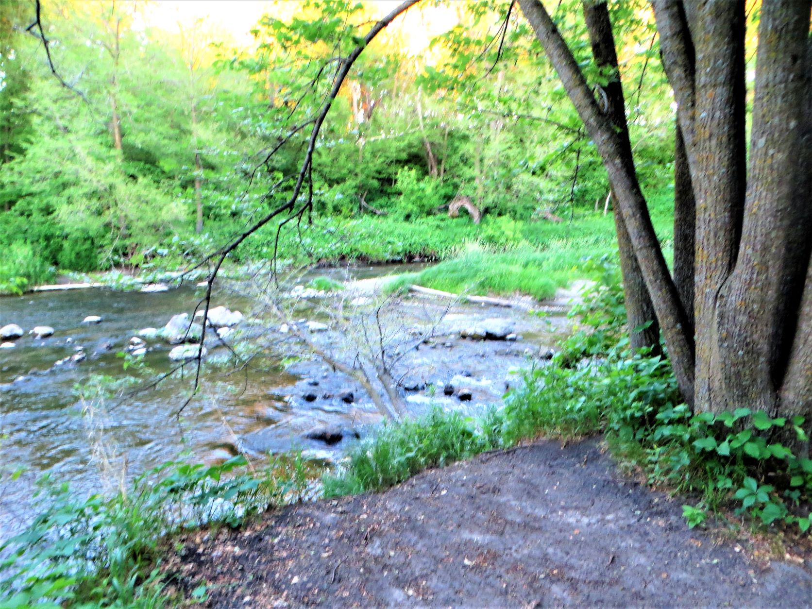 Travel Bug Buffalo River State Park in Glyndon, Minnesota Sunday, June 13, 2021