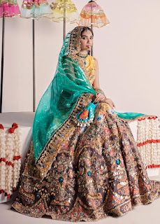 Ali Xheeshan Ferozi Color Lehenga Choli Collection