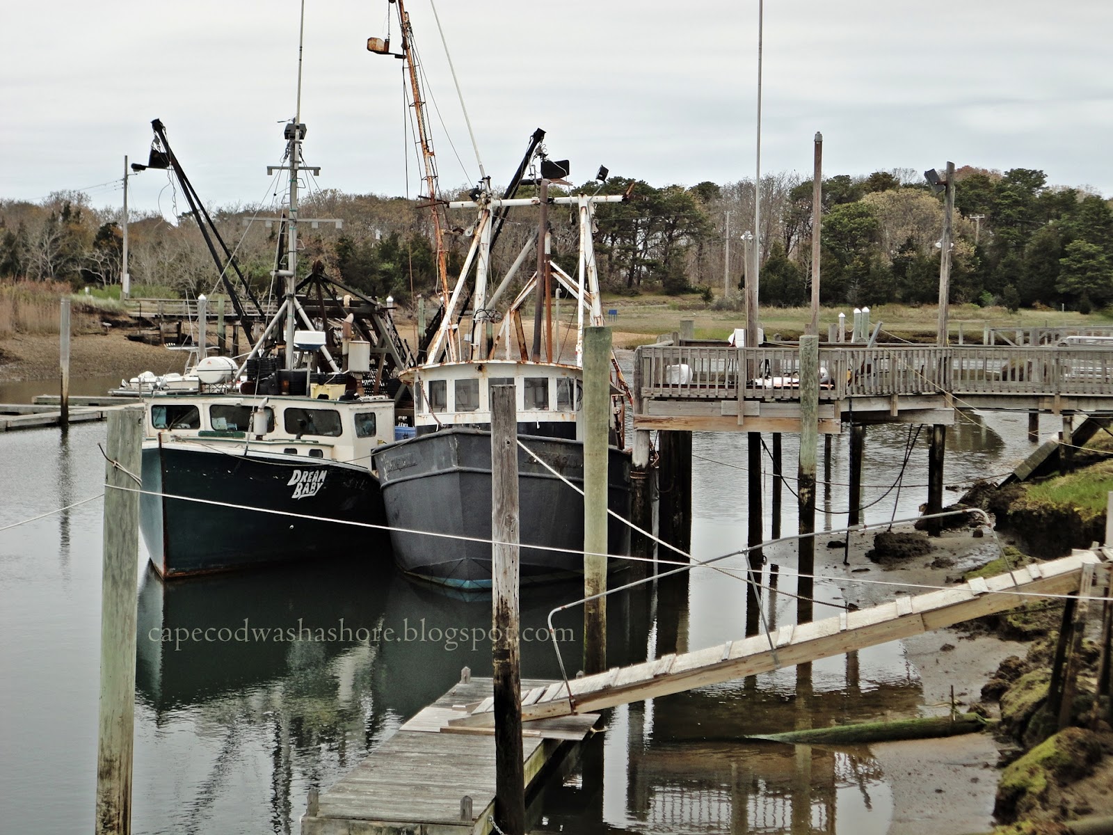 Cape Cod Washashore Rock Harbor