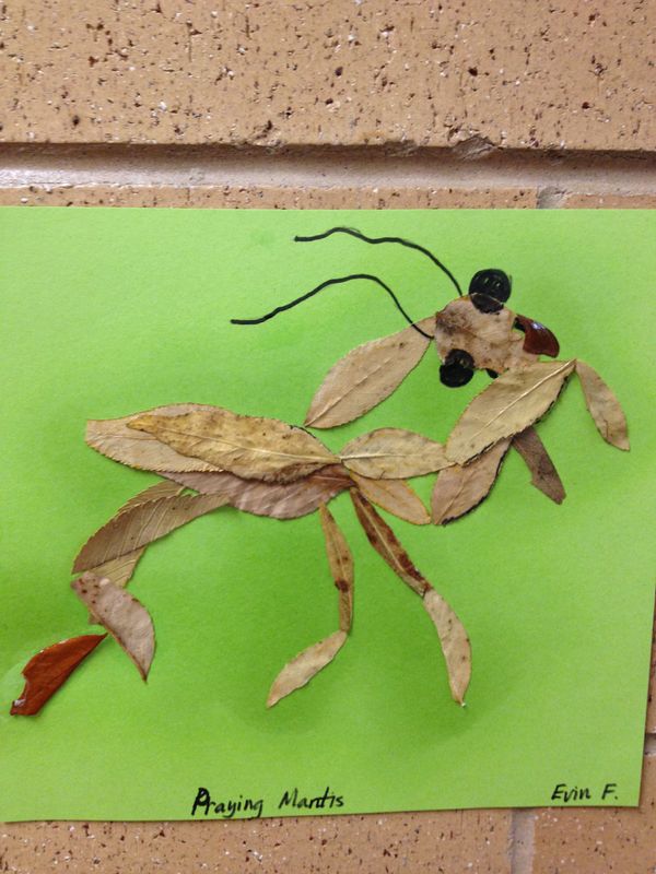 Integrating Art and Science Second Grace Science Activity Teaching