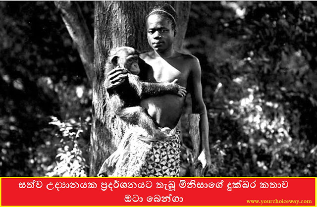 සත්ව උද්‍යානයක ප්‍රදර්ශනයට තැබූ මිනිසාගේ දුක්බර කතාව - ඔටා බෙන්ගා (Ota Benga) - Your Choice Way