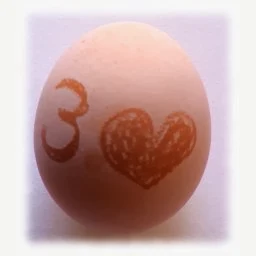 Grabar el nombre en el huevo, truco de ciencia revelado