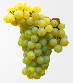 Chenin Blanc grapes