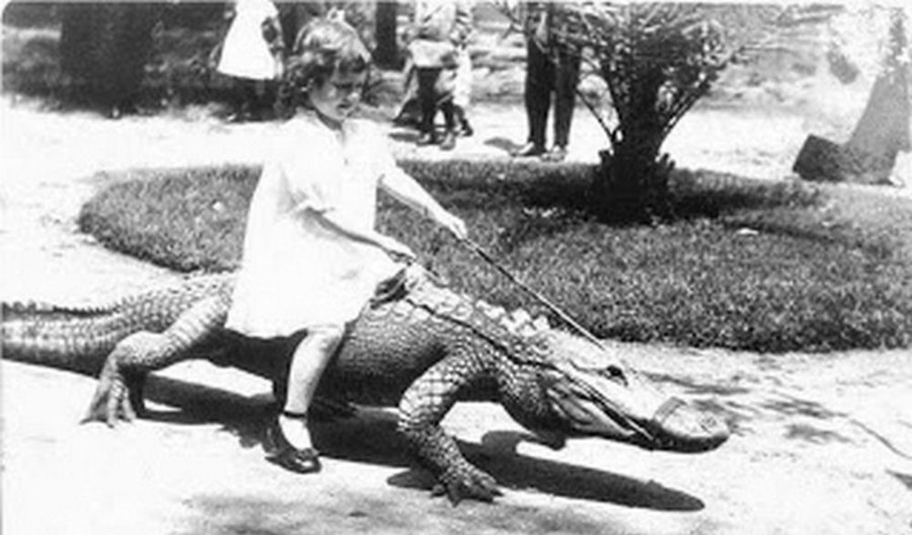 When Kids Played With Alligators in Los Angeles in the Early 20th