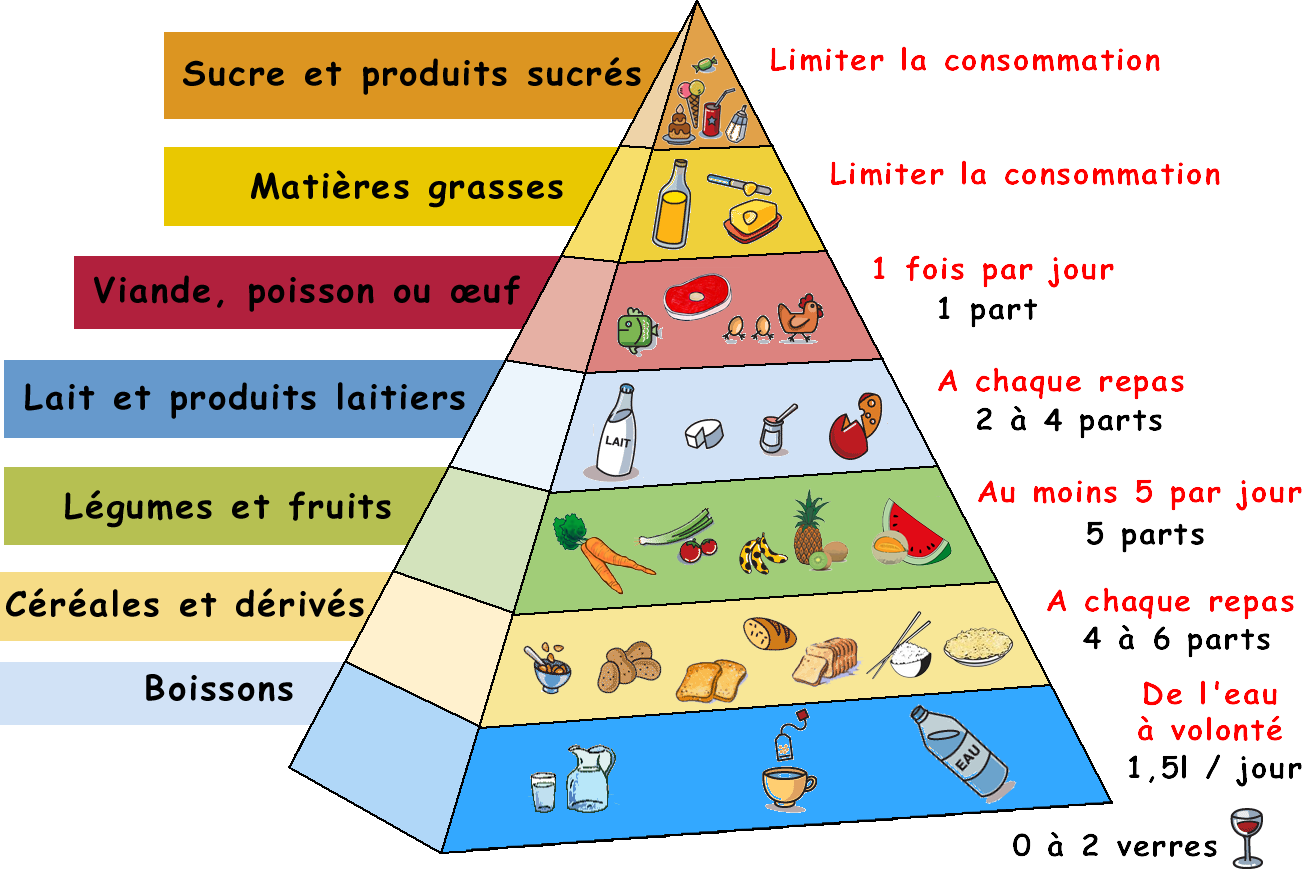Sciences de la Vie et de la Terre Huahine Pyramide