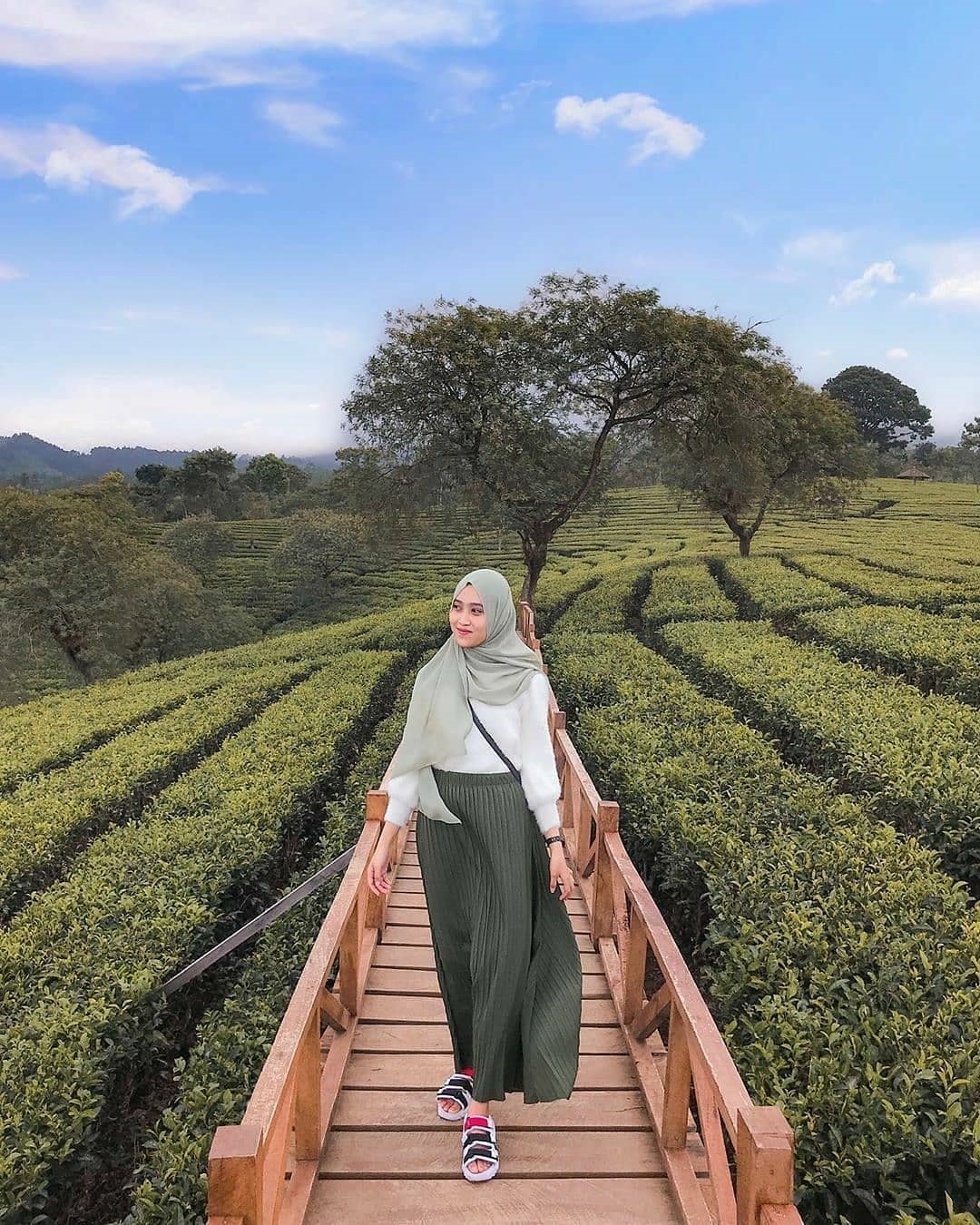 Harga Tiket Masuk Kebun Teh Lawang