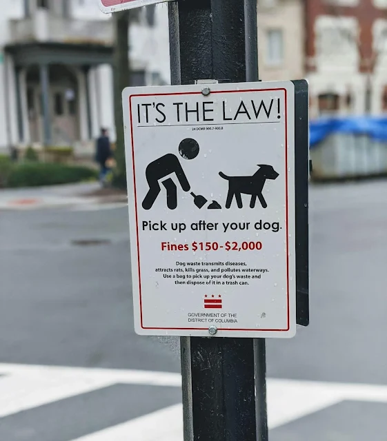 Washington DC fine for littering