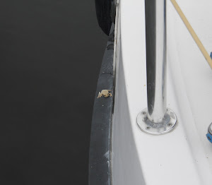 Wee yellow frog hitchhiked all the way across Lake Okeechobee. Slept under the fender enroute.