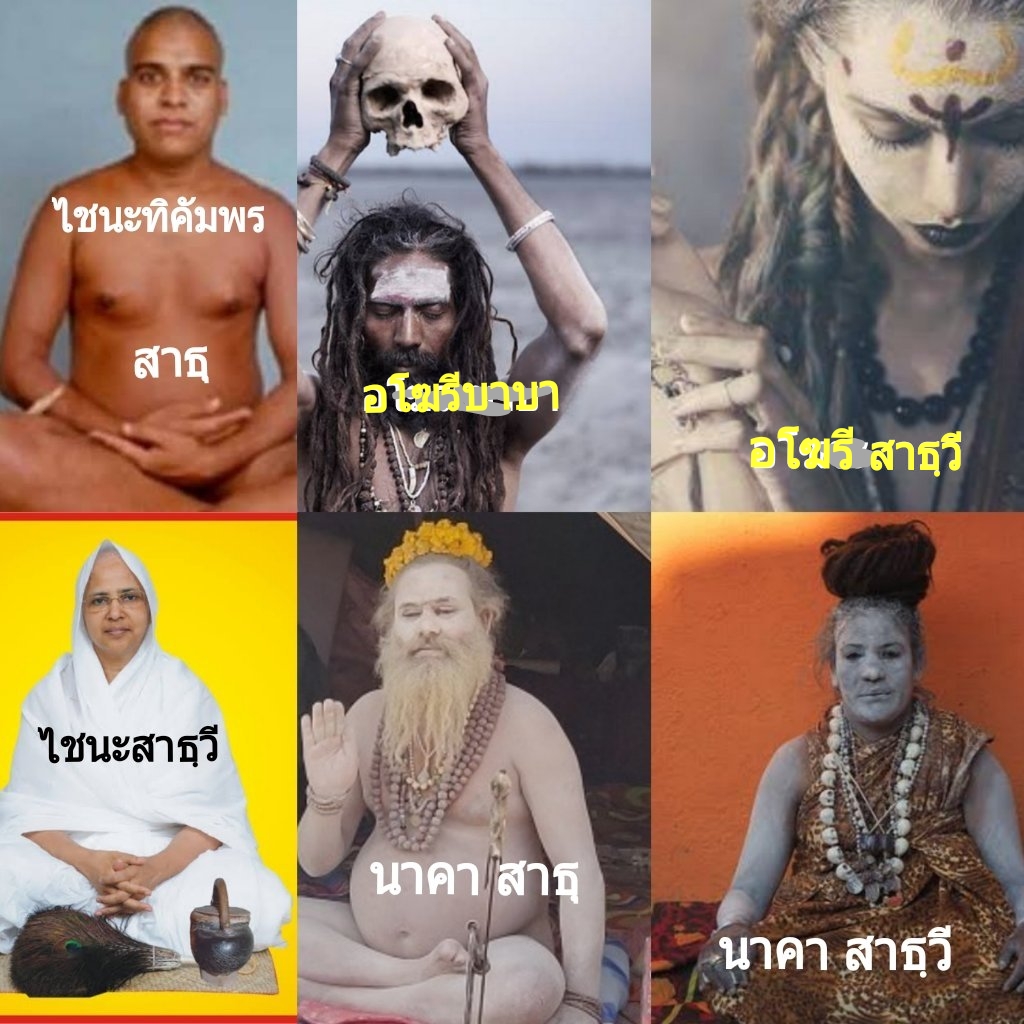 My Image 39