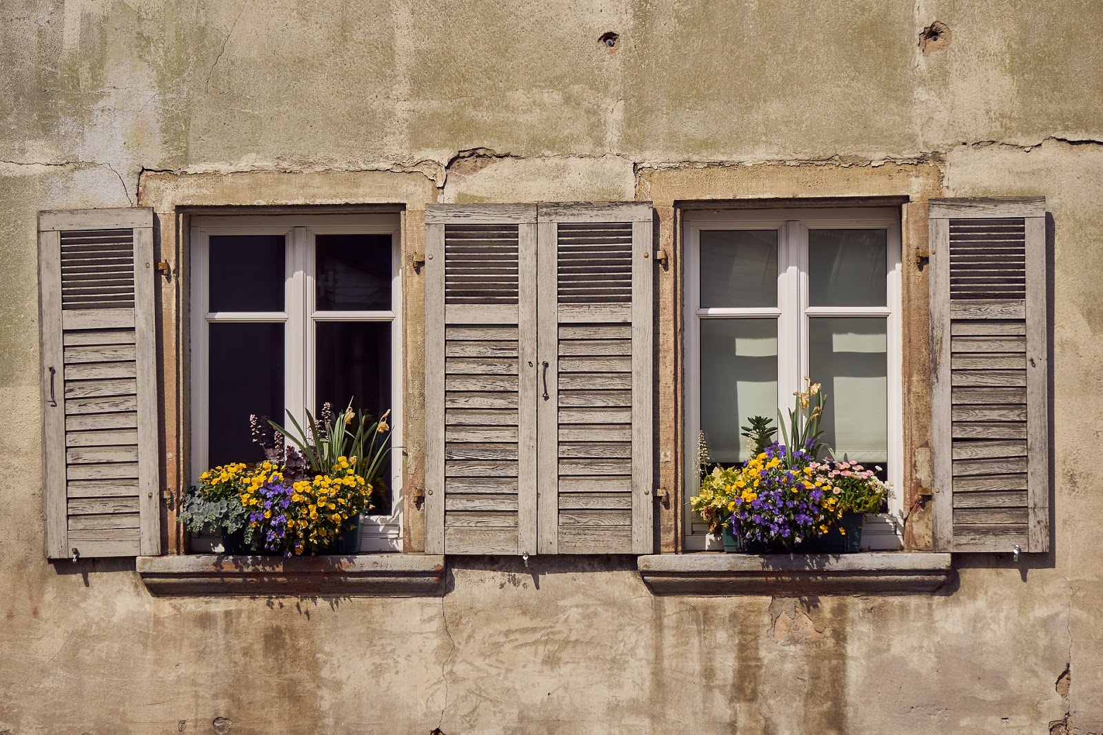 About the window shutters How much do you know?