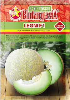 melon Leoni F1 bintang Asia