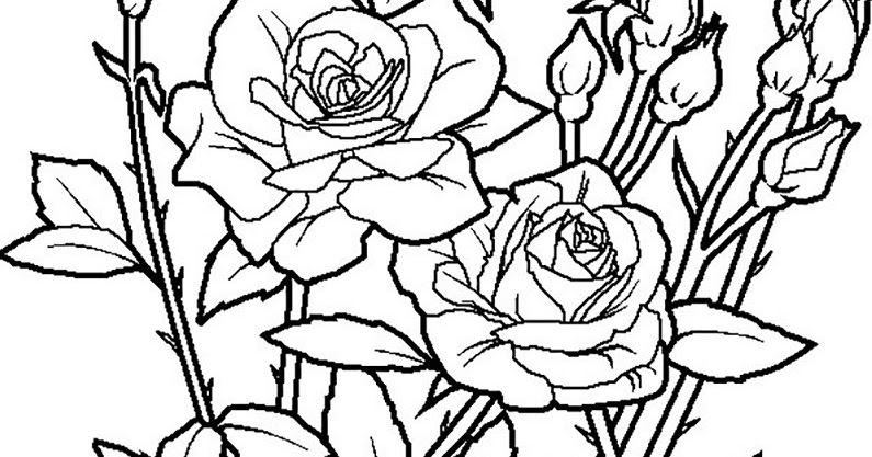 gambar mewarnai bunga pdf