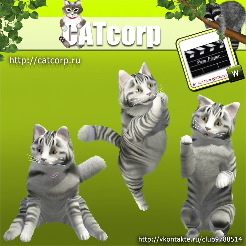 Action cat. Корпорация кошек хех. Cat pose. Cat Freebase.