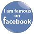 Ten Steps to Become Famous on Facebook