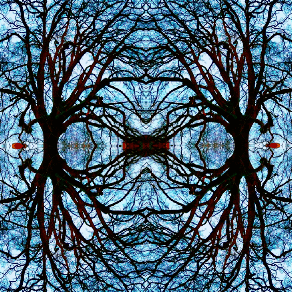 Animation Fun Amazing animated gifs by Lex Loeb 20172019 click photo