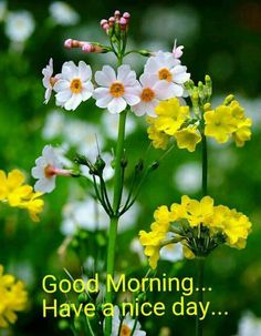 good morning sms