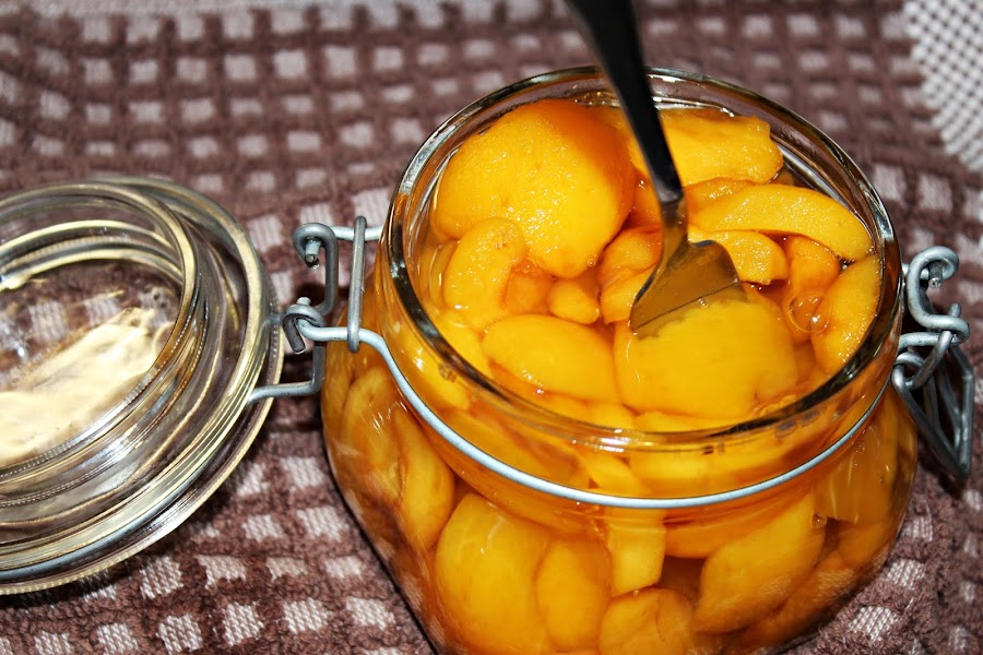 NISPEROS EN ALMIBAR PASO A PASO