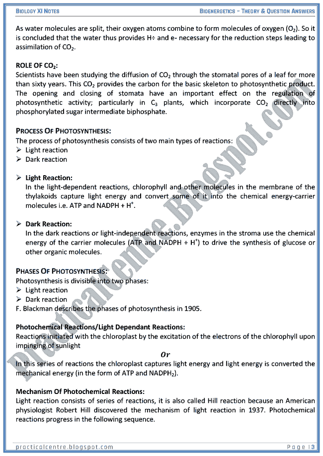 Bioenergetics - Theory And Questions Answers - Biology XI