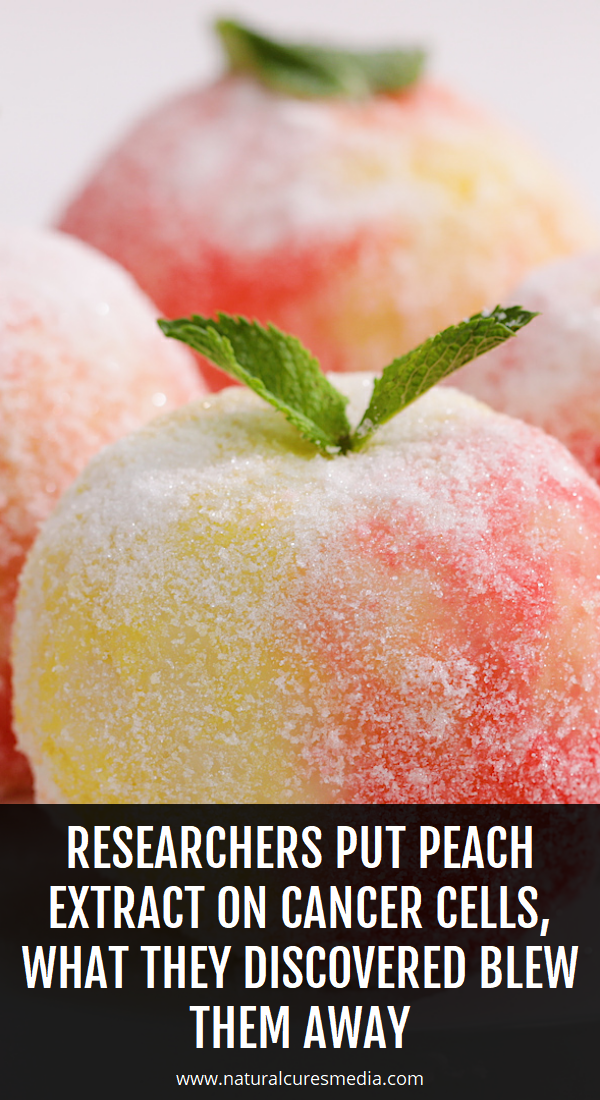 Researchers Put Peach Extract On Cancer Cells, What They Discovered