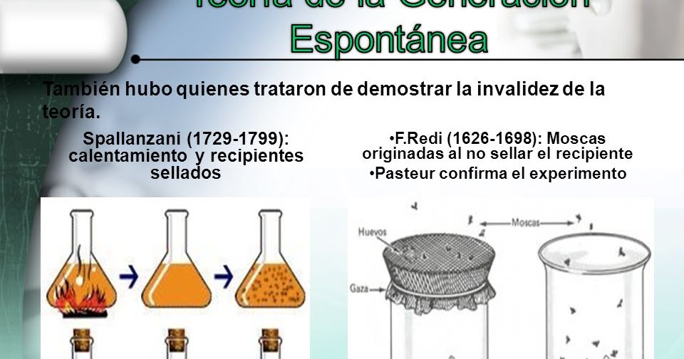 Colectivo1128903 Teoría de la generación espontanea