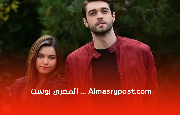 أجمل المسلسلات التركية المدبلجة للعربية