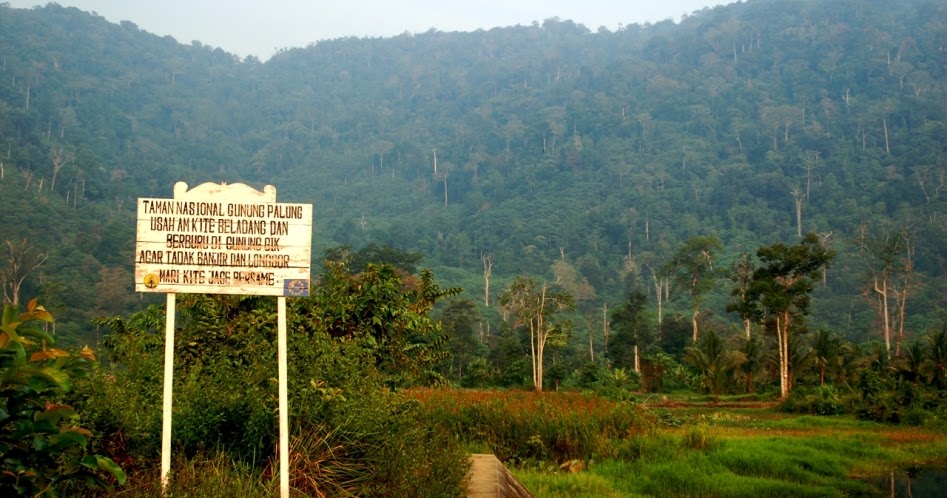 Borneo Kalimantan barat Taman Nasional Gunung Palung