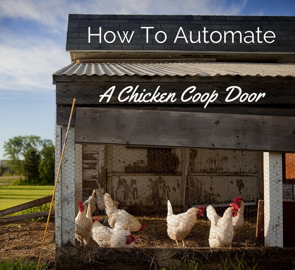 How To Automate A Chicken Coop Door Using Micro Linear ...