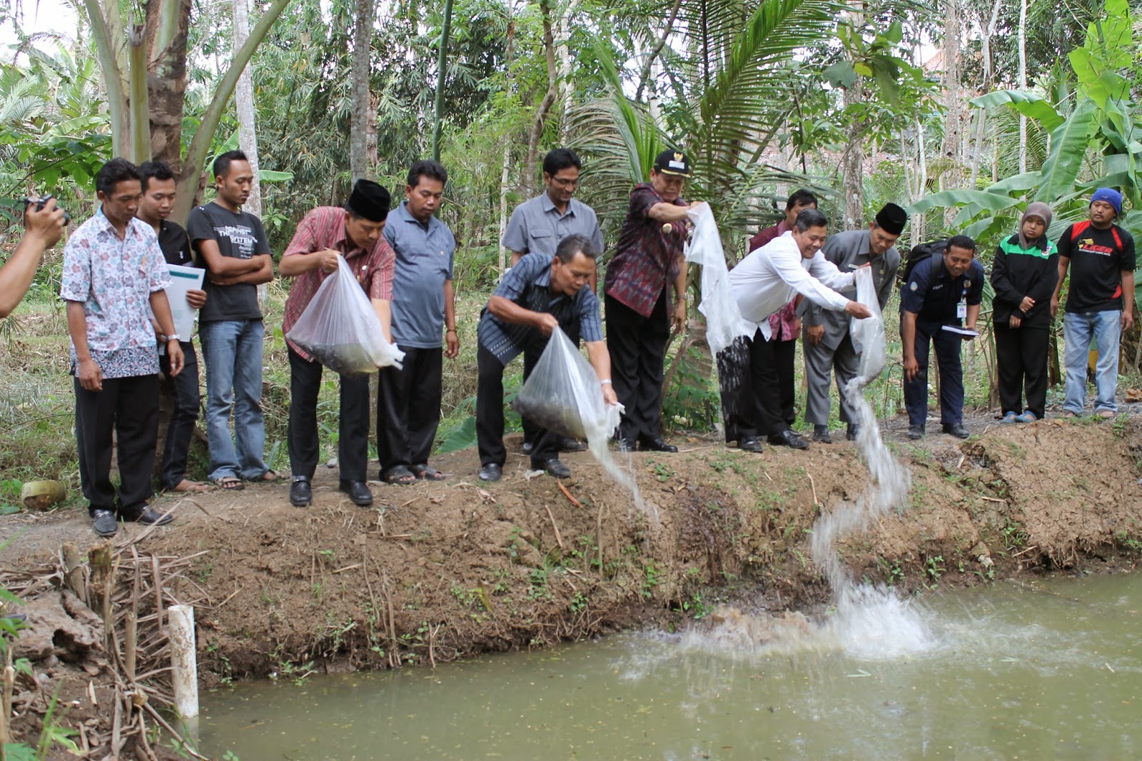 ternak lele sangkuriang