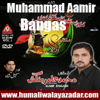 http://ishqehaider.blogspot.com/2013/11/muhammad-aamir-bangash-nohay-2014.html