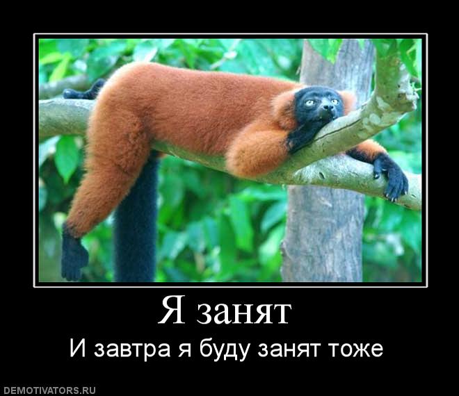 Очень занят картинка