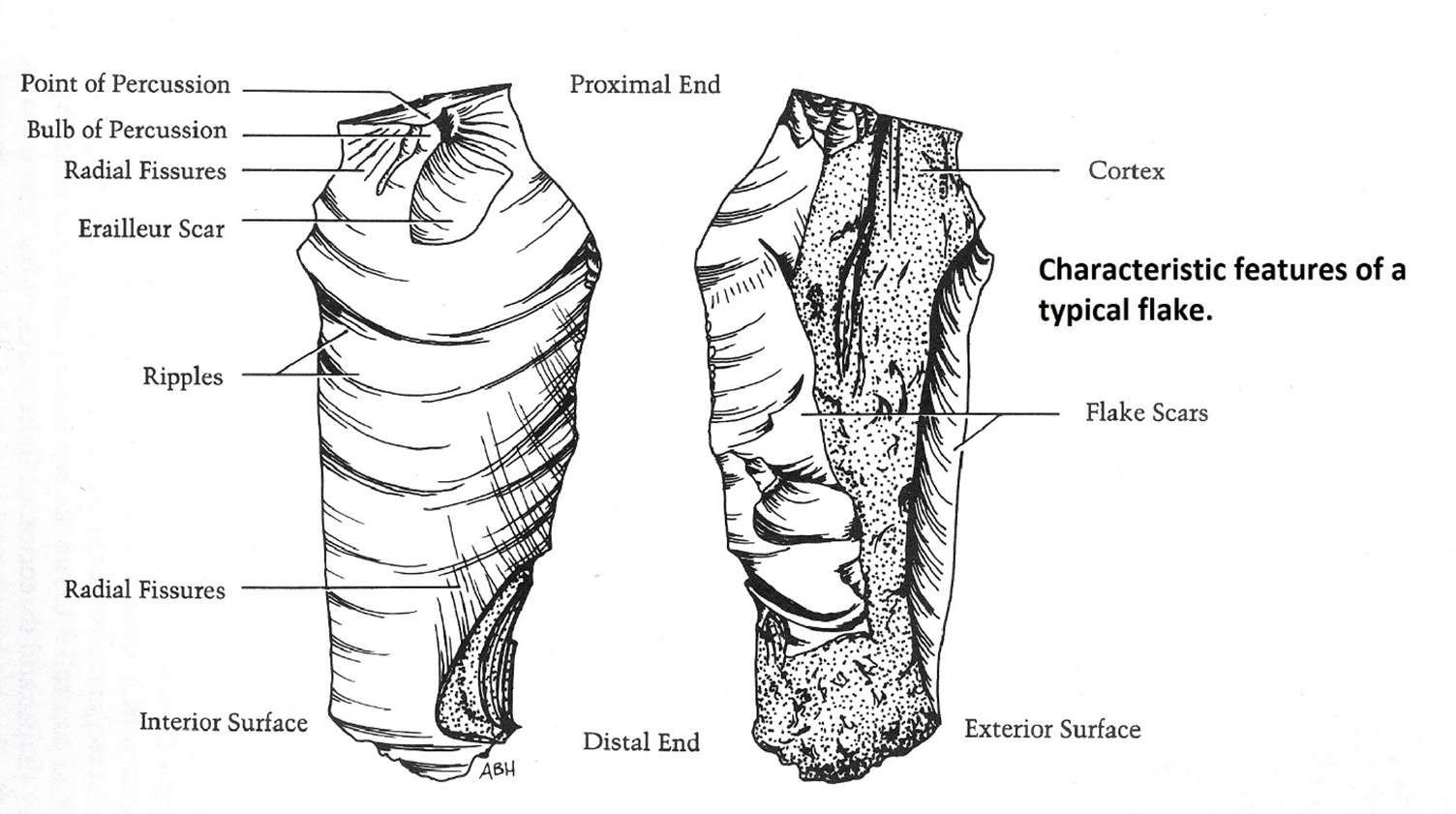 This Week In Pennsylvania Archaeology The Most Common Artifact