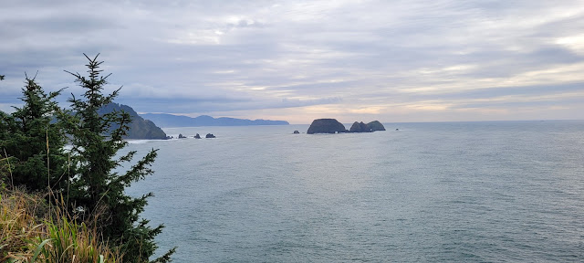 View of Arch Rocks from Cape Meares Lighthouse