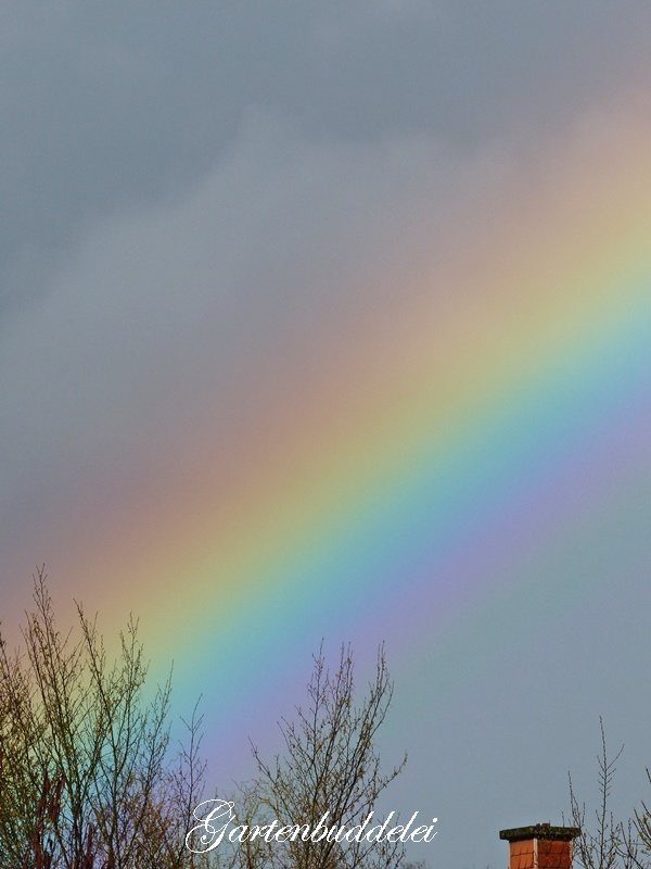 Gartenbuddelei Page 15 Chan 23880956 Rssing Com