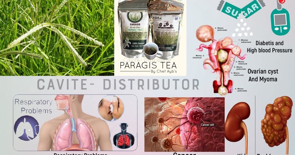 Its all about health PROPERTIES AND HEALTH BENEFITS OF PARAGIS