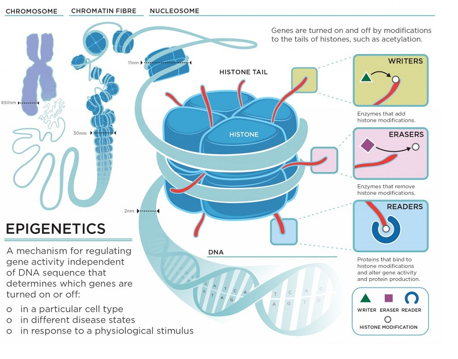 Medical Fact News Role of in Biology Advancing