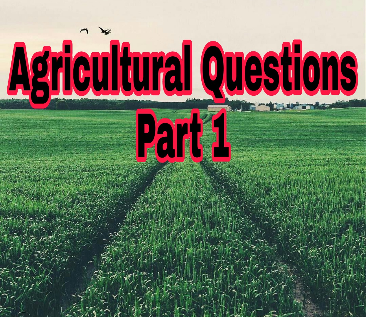 Agricultural Questions IBPS AFO NABARDS ASCO JRF PrePG Part 1