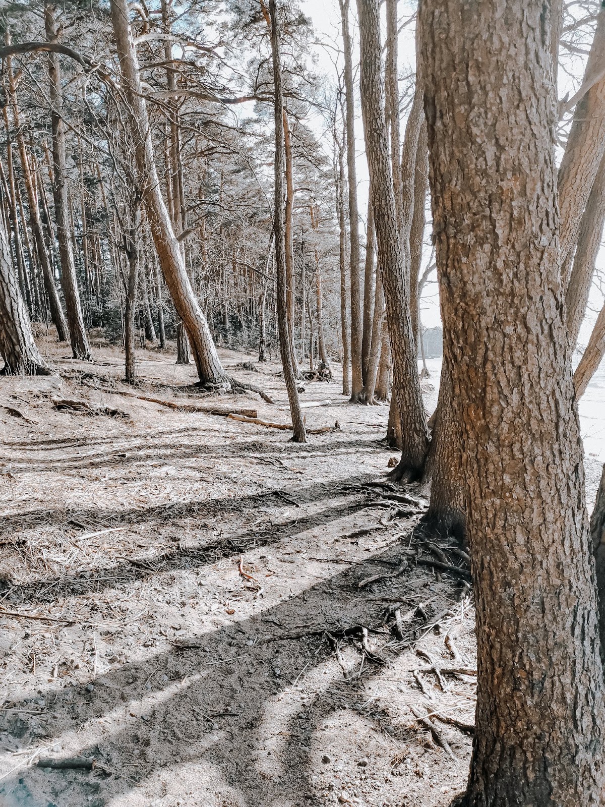 Big mamas home by Jenni S. Myrkyllisiä ihmissuhteita Big mamas home by Jenni S. Myrkyllisiä ihmissuhteita