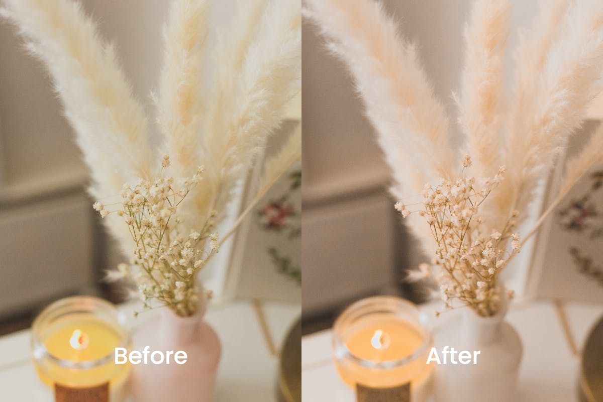 Presets Dành Cho Chụp Ảnh Hoa (XMP/ACR, DNG) B5F972 4 04e8ba52 54ea 4f7d a8ba bb41af30e4d5