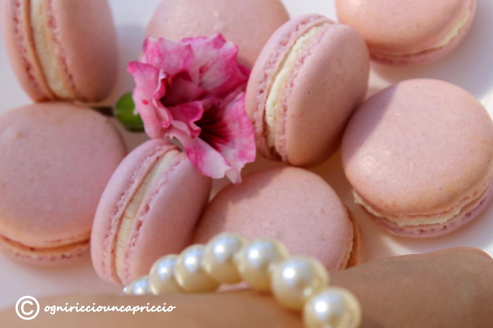 macarons, proviamo la ricetta di un'amica speciale!