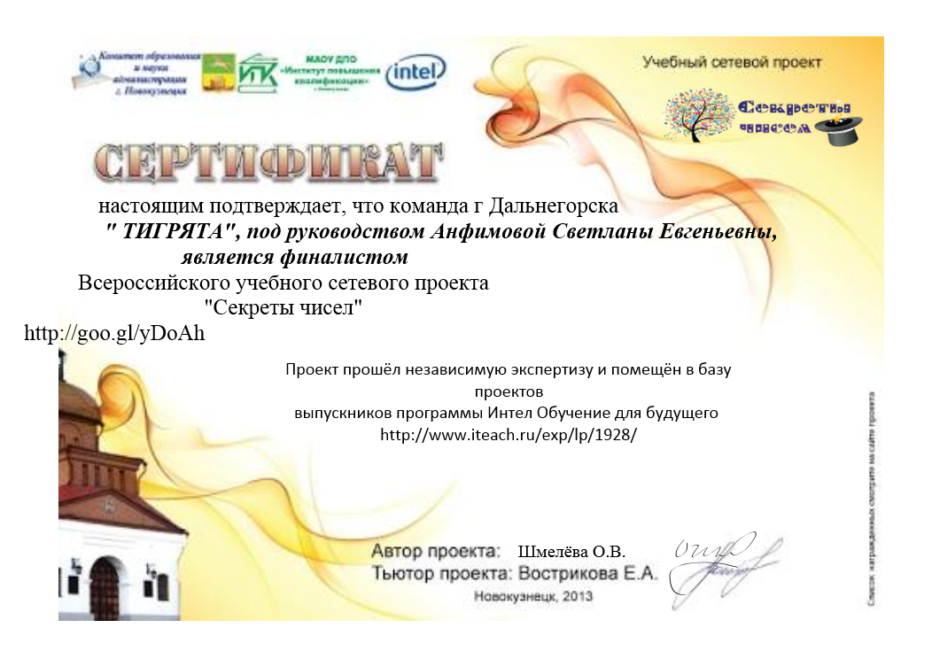 Сетевой проект 90 лет советскому Имк сетевые проекты богородск