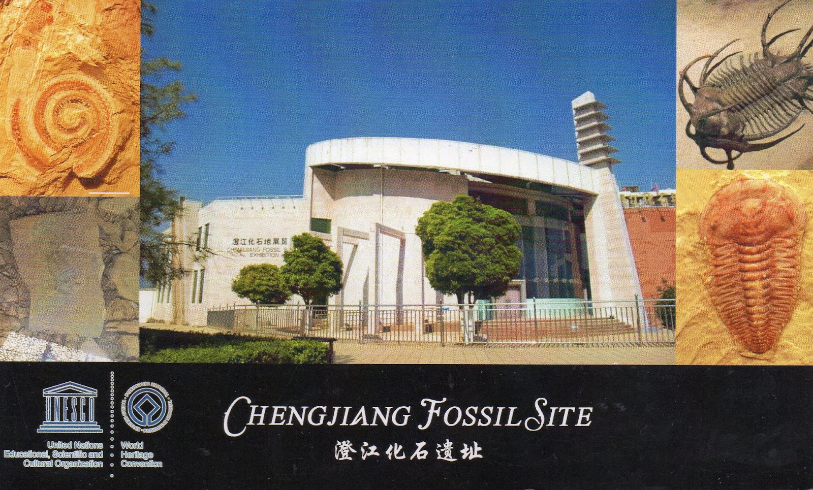 UNESCO postcards collection by dannyozzy Chengjiang Fossil Site