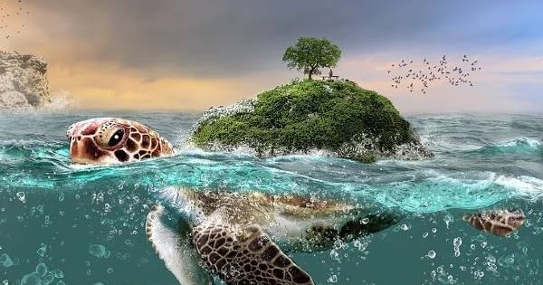 World Environment Day 2020 Best Slogans Images And Posters On Biodiversity Hse And Fire Protection Safety Ohsa Health Environment Process Safety Occupational Diseases World Environment Day 2020 Best Slogans Images And Posters On Biodiversity Hse And Fire Protection Safety Ohsa Health Environment Process Safety Occupational Diseases