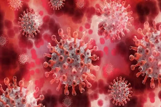 How dangerous is the Lambda variant of the corona virus
