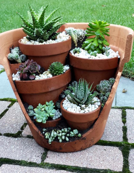 Best of the best Beautiful Flower pots!