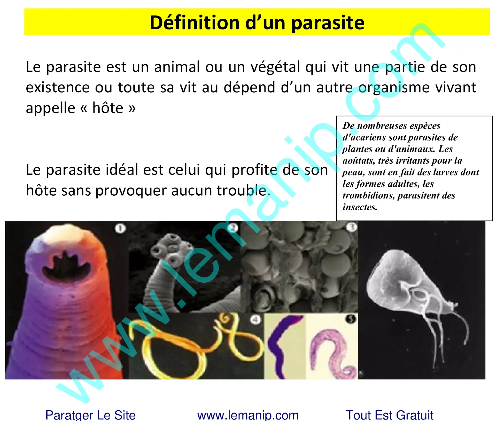 Définition d’un parasite