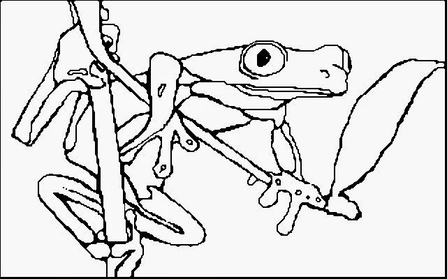Ausmalbilder Zum Ausdrucken Ausmalbilder Frosch Kostenlos