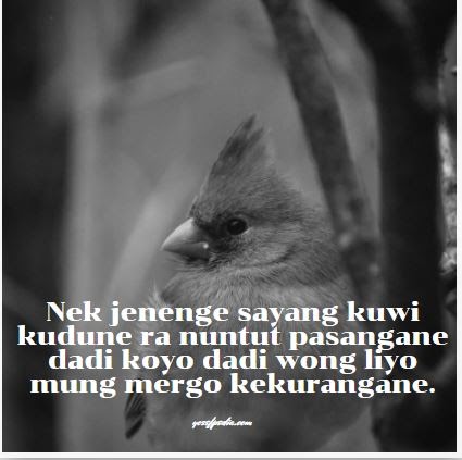 Kata Kata Cinta Bahasa Jawa Romantis Lucu Dan Bikin Baper Yosefpedia Com