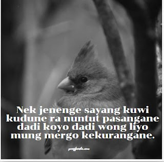 Kata-Kata Cinta Bahasa Jawa, Romantis, Lucu dan Bikin Baper